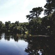 cajun pride swamp tour groupon