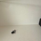 Photo submitted by Tammy