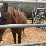 Photo submitted by Theressa