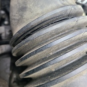 Photo submitted by Сергій