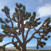 Photo submitted by Faye