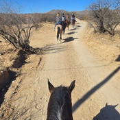 Photo submitted by Lindsay