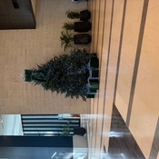 Photo submitted by Tami