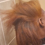 Photo submitted by regina