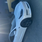 Photo submitted by vee