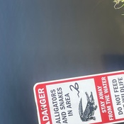 Photo submitted by donna