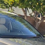 Photo submitted by Paul