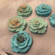 Photo submitted by Elyse