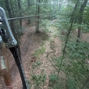 Photo submitted by Guest