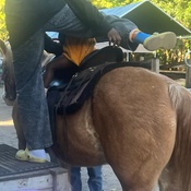 Photo submitted by OBella