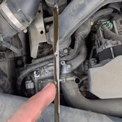 Photo submitted by Cody