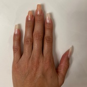 Photo submitted by Guest