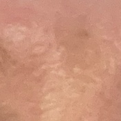 Photo submitted by Katie