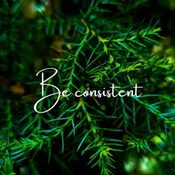 Photo submitted by cheon