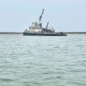 Photo submitted by Tamara