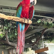 Photo submitted by Joseph