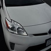 Photo submitted by Suzanne