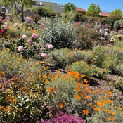 Photo submitted by Debbie