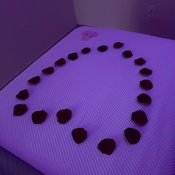 Photo submitted by Caroline