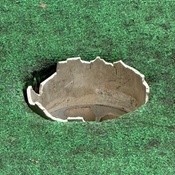 Photo submitted by Meghan