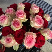 Photo submitted by michael