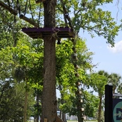 Photo submitted by Laura