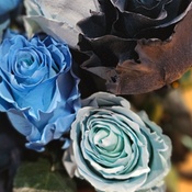 Photo submitted by Denise