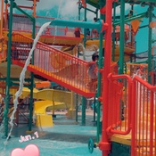 Photo submitted by Ashley