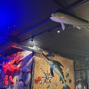 Photo submitted by Angela