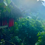 Photo submitted by Joselin