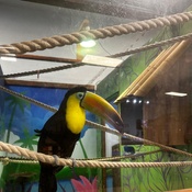 Photo submitted by Ana