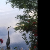 Photo submitted by Carol