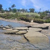 Photo submitted by Casilda