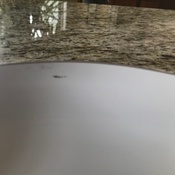 Photo submitted by David