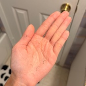 Photo submitted by Sam