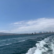 Photo submitted by Elizabeth