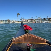 Photo submitted by Rachel