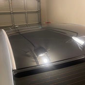 Photo submitted by Royal