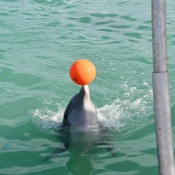 Photo submitted by Brian