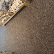 Photo submitted by Rylee