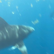 Photo submitted by Curtis