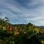 Photo submitted by Faith