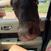 Photo submitted by Zachary