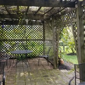 Photo submitted by Darrick