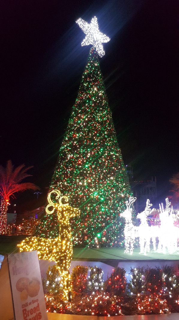 Knott's Scary Farm 2023 Lantern Clearance Discounted factoryeye