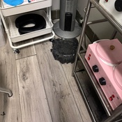 Photo submitted by Guest