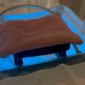 Photo submitted by Guest