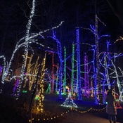 Photo submitted by Guest