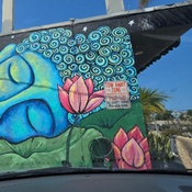 Photo submitted by Joshua