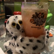 Photo submitted by Kristina